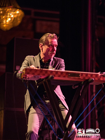 Swans in concert