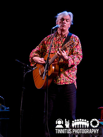 Robyn Hitchcock in concert