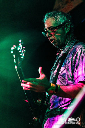 MSSV in concert