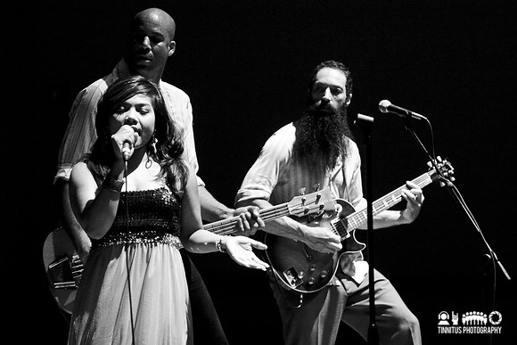 Dengue Fever in concert