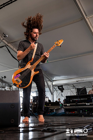 Dinosaur Jr. in concert