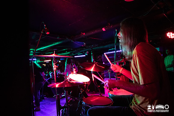 Elder in concert