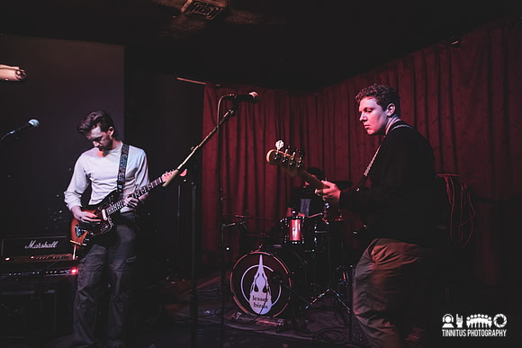 lesser birds in concert