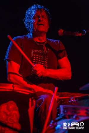 The Clean in concert