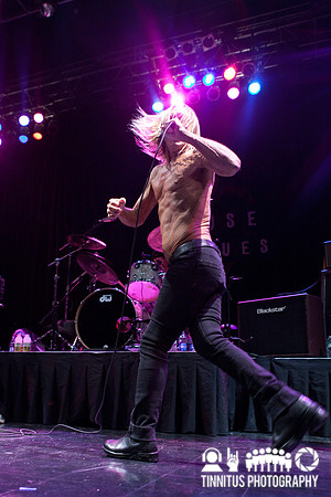 The Stooges in concert