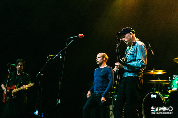 Superwolves in concert