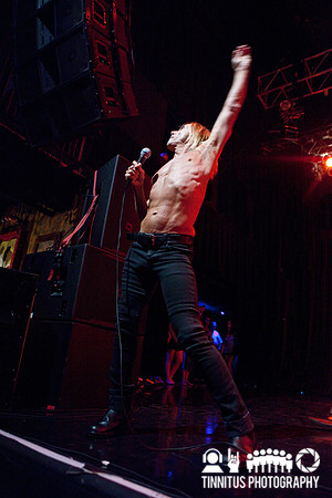The Stooges in concert