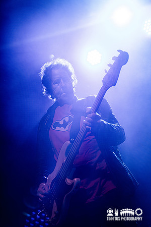 The Dictators in concert