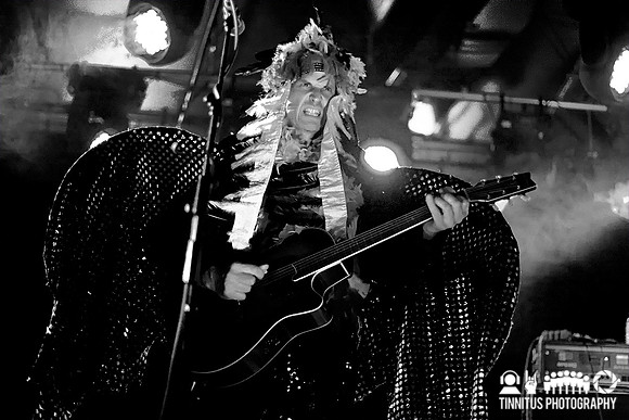The Frogs perform at day two of All Tomorrow's Parties, curated