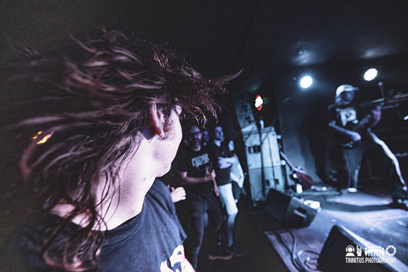 Cutters in concert