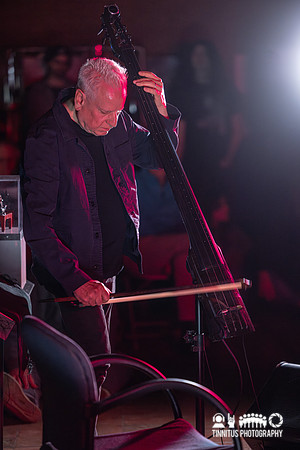 Arnold Dreyblatt in concert