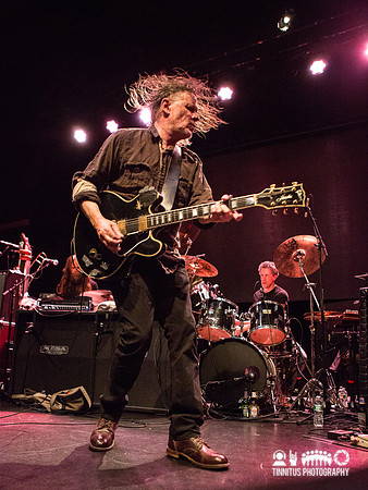 Swans in concert