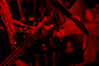 Oldblood in concert