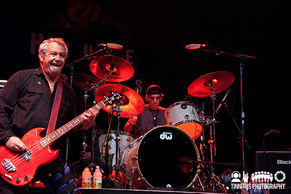 The Stooges in concert