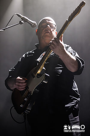 Frank Black in concert