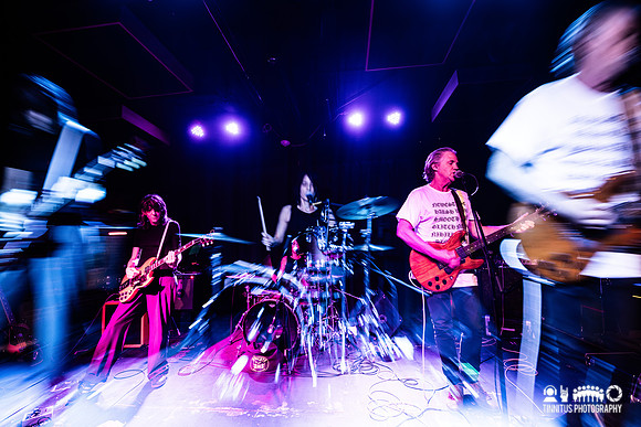 Lupo Citta in concert