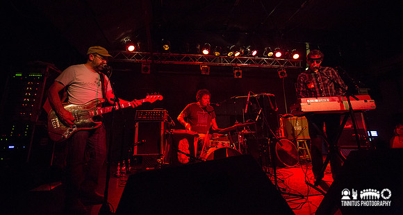 The Clean in concert