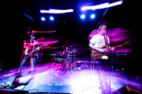 Lupo Citta in concert
