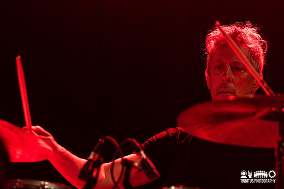 Swans in concert