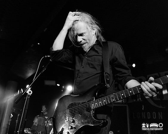 Noisepicker in concert