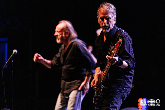 The Jesus Lizard in concert