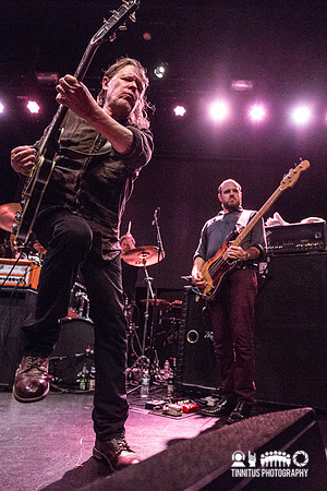 Swans in concert