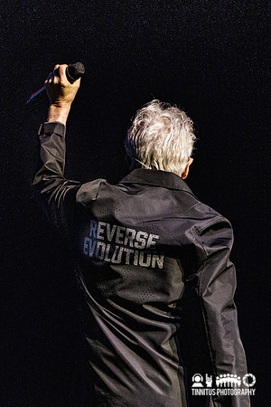 Devo in concert