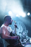 Elephant Tree in concert