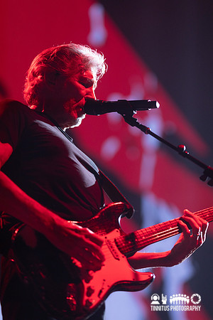 Roger Waters in concert