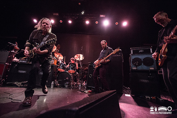 Swans in concert