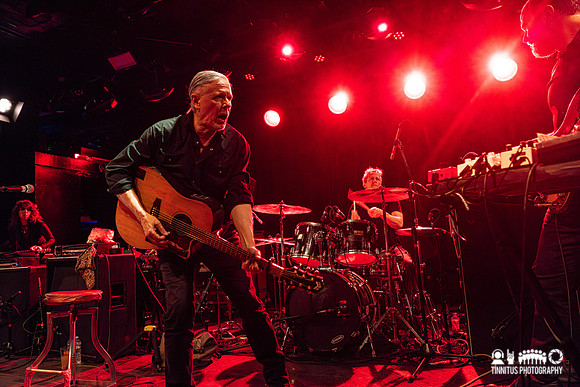 Swans in concert