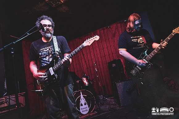 Osmia in concert