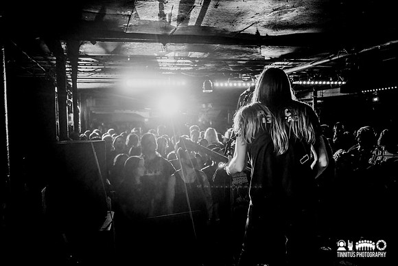 Elder in concert