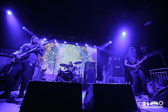 Elder in concert