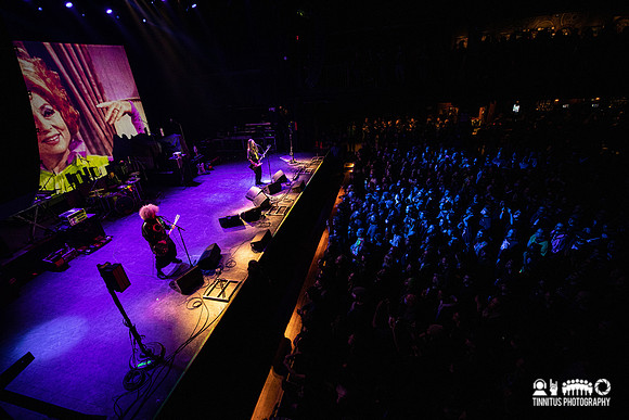 Melvins in concert
