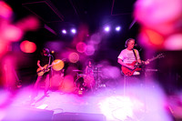 Lupo Citta in concert