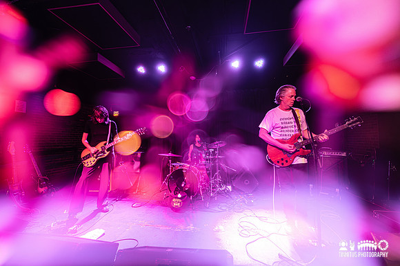 Lupo Citta in concert