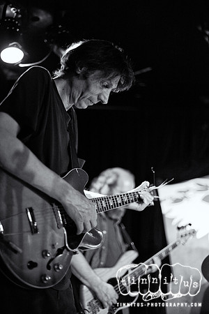The Styrenes in concert