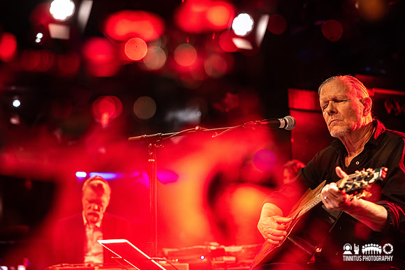 Swans in concert