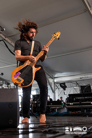 Dinosaur Jr. in concert