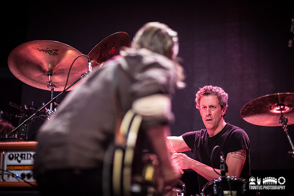 Swans in concert