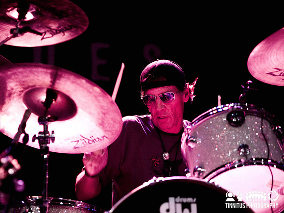 The Stooges in concert