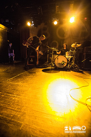 Bob Mould in concert