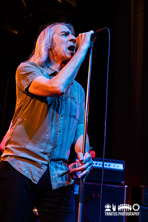 The Saints in concert