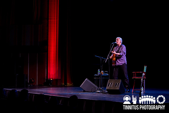 Robyn Hitchcock in concert