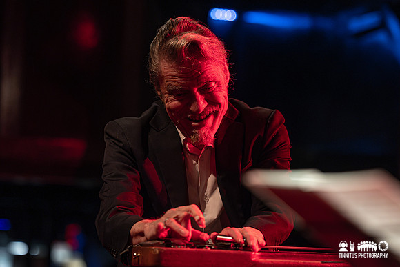 Swans in concert