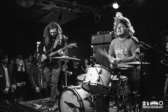 Fuzz in concert