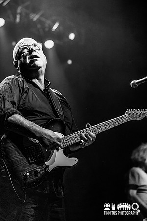 Frank Black in concert