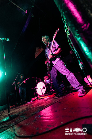 MSSV in concert