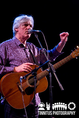 Robyn Hitchcock in concert